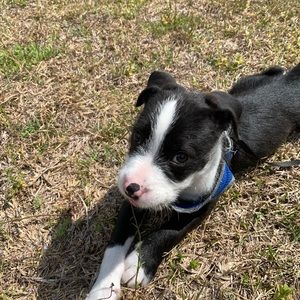 Meet your Posher, Alaina